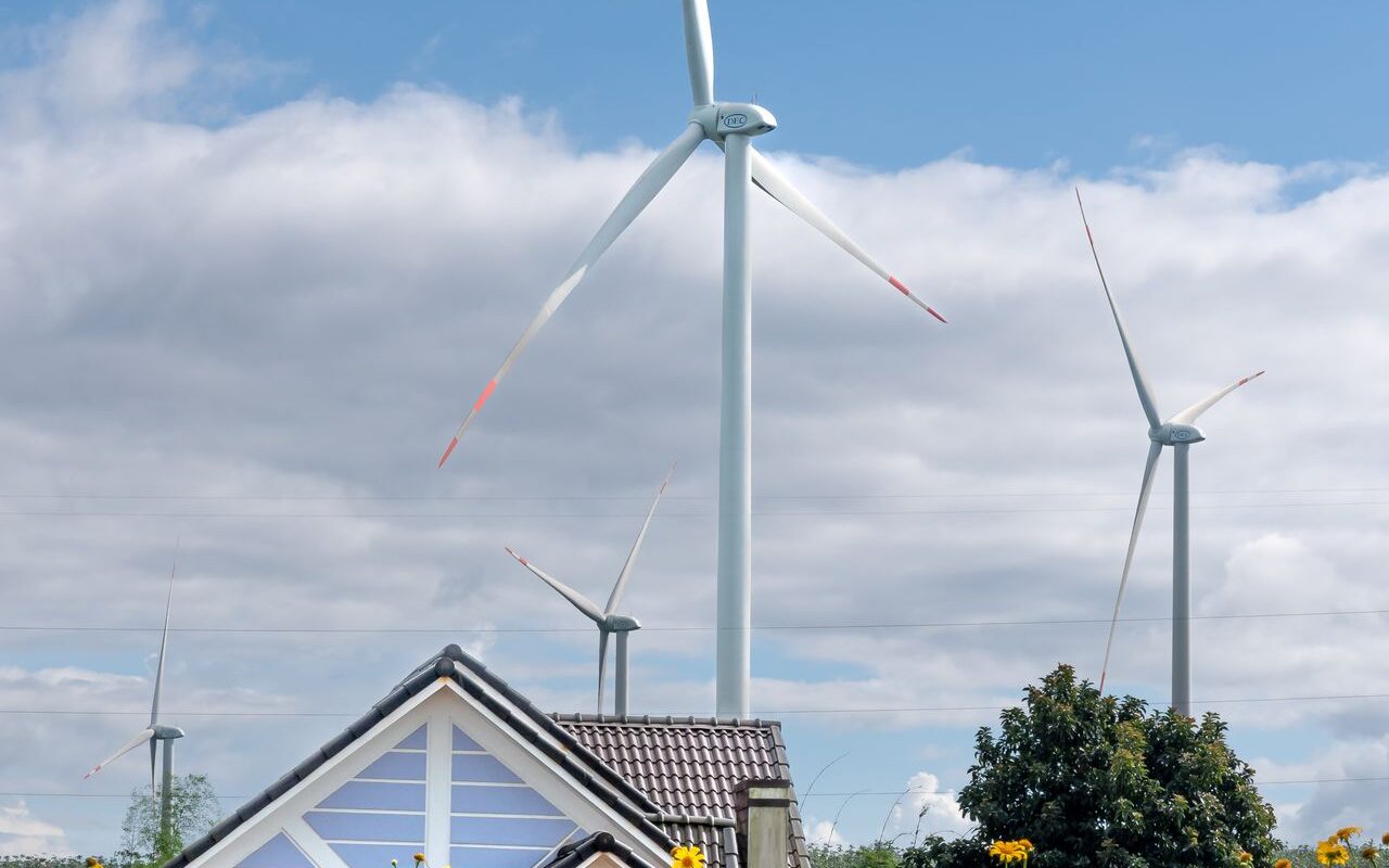 Biologische honing kopen